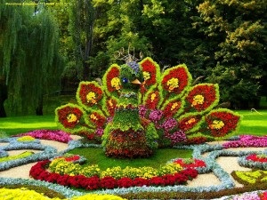 Cum să organizați o expoziție de flori, centrul muzeului din regiunea Leningrad
