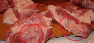 Cum se testează carnea infectată cu trichinoză