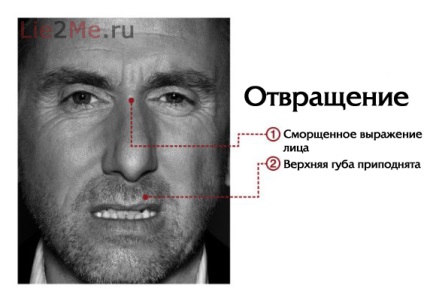 Як розпізнавати емоції по міміці особи - розважальний портал