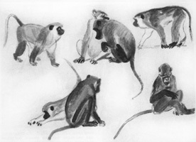 Cum să desenezi animale, schițe și schițe