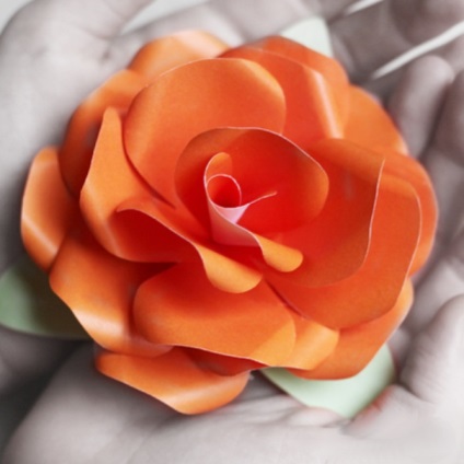 Hogyan készítsünk egy rózsát a papírról?