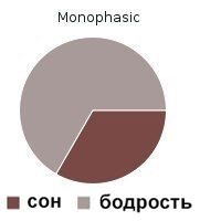 Як зменшити сон, і при цьому не спати - дуже цікаво