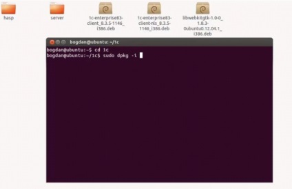 Cum se instalează 1c pe linux