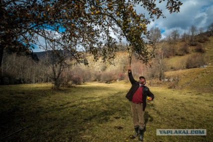 Hogyan vettem ki aranyat