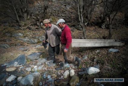 Hogyan vettem ki aranyat