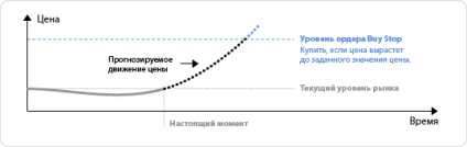 Cum să fixați profiturile pe piața valutară, profitul din profitul profitului, stop-loss, forex-ul