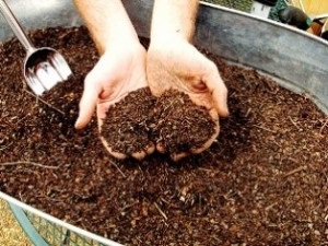 Compostul și groapa de compost vă vor servi ca un biofactor dacha, învățăm să facem totul prin mâinile noastre