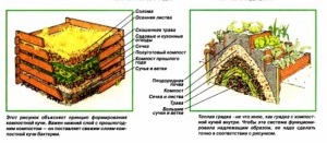 Compostul și groapa de compost vă vor servi ca un biofactor dacha, învățăm să facem totul prin mâinile noastre