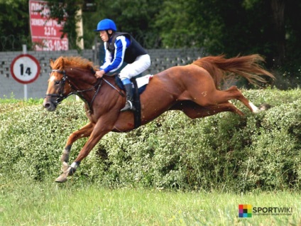 Equestrian Eventing leírás, történelem, szabályok, berendezések