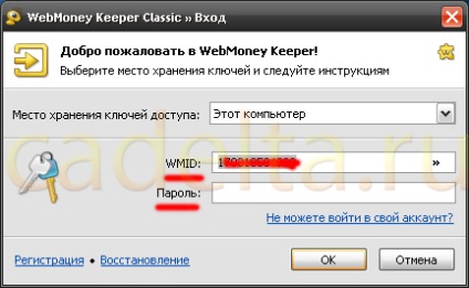 Controlul numerarului cu webmoney clasic pe Internet