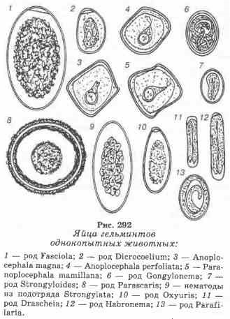 Metode coprografice