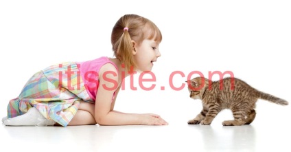 Pisicile și copiii pe care pisica le-a ales să le aleagă într-o casă cu un copil mic
