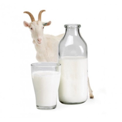Laptele de capra cu diabet zaharat este posibil sa se utilizeze pentru boala