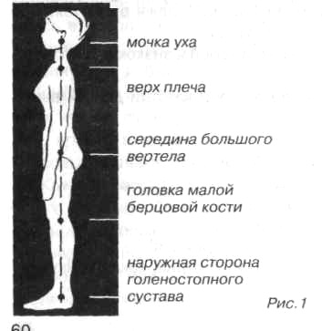 Criterii pentru postura normală