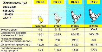 Chicken breeds Descriere gigant tricou, caracteristici, unde să cumpere, recenzii și clipuri video