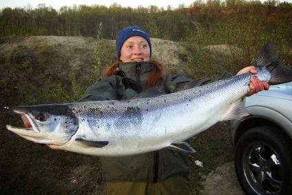 Pescuitul de somon din regiunea Murmansk a deschis sezonul de pescuit de somon