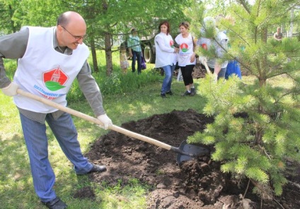 Cei mai buni medici plantați molid · urgență · orașul știri Krasnoyarsk