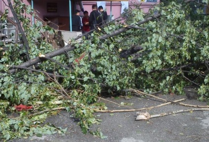 Oamenii au murit în uraganul Moscovei din cauza inconsecvenței acțiunilor oficialilor