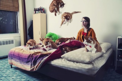 Oameni nebuni pe pisici (foto)