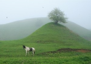 Malkinskoe-szoros, üdülőhelyeink (Kabardino-Balkarian köztársaság) Malkin-szurdok, üdülőnk