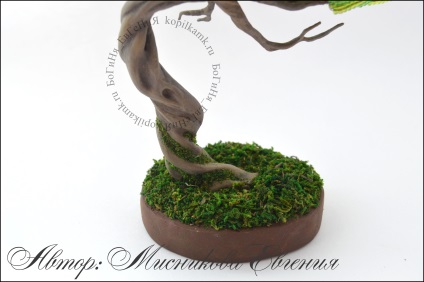 Maestru de clasă - tentația bonsai - o cutie de monede de cursuri de master în design cu margele