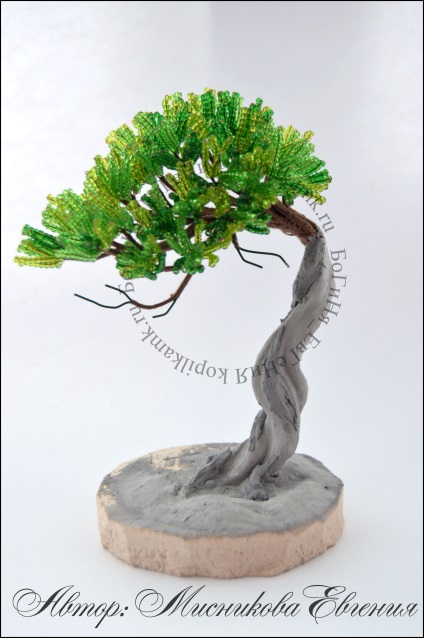 Maestru de clasă - tentația bonsai - o cutie de monede de cursuri de master în design cu margele