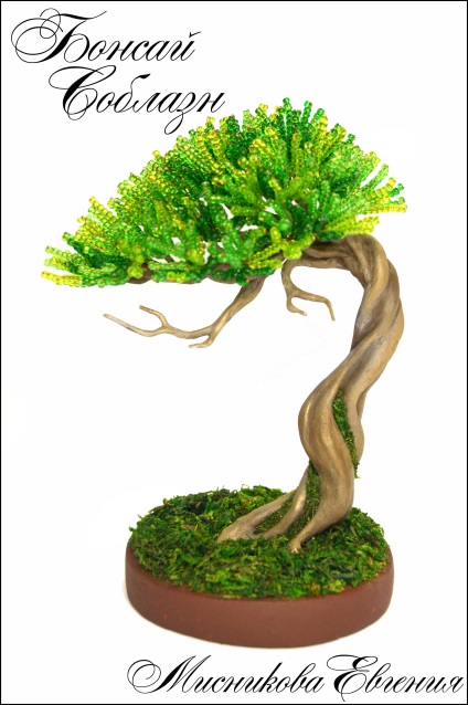 Maestru de clasă - tentația bonsai - o cutie de monede de cursuri de master în design cu margele