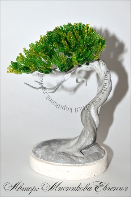 Maestru de clasă - tentația bonsai - o cutie de monede de cursuri de master în design cu margele