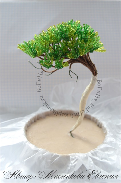 Maestru de clasă - tentația bonsai - o cutie de monede de cursuri de master în design cu margele