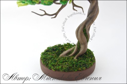 Maestru de clasă - tentația bonsai - o cutie de monede de cursuri de master în design cu margele