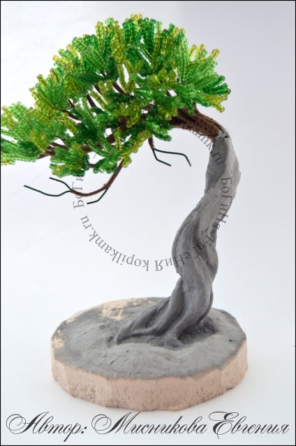 Maestru de clasă - tentația bonsai - o cutie de monede de cursuri de master în design cu margele