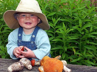 Lehetséges-e a gyerekek, hogy milyen gombákat adnak, milyen, hány és mikor