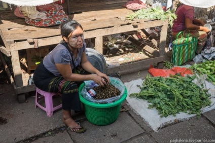 Cu trenul pe Myanmar