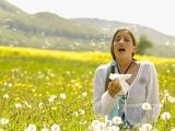 Metode populare de tratare a alergiilor (polinoame)
