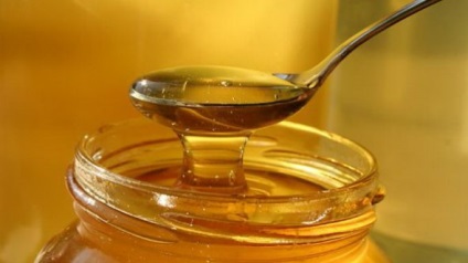 Tratamentul popular al bolilor cu miere acasă, proprietăți medicale și contraindicații, soiuri de miere