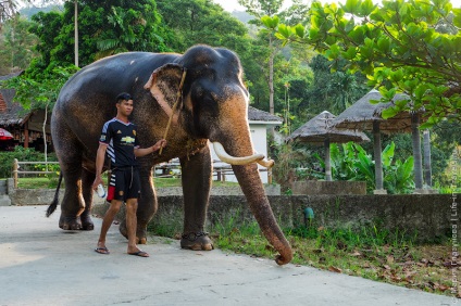 Cheltuielile pe Koh Samui sau cât de mult este o lună de viață pe o insulă de paradis