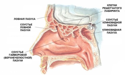 Rasește nasul în gât, de unde vine mucusul și cum îl eliminăm