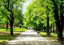 Noul parc Ryazan se va întinde prin întregul nisip