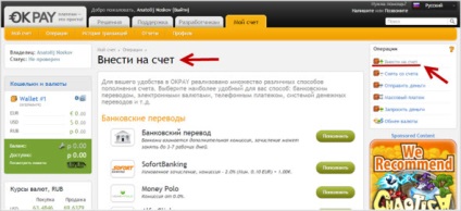 Înregistrarea sistemului de plată Okpay a unei pungi, intrarea în cont, recenzii