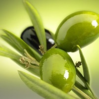 Măsline - un simbol al pasiunii, un blog despre sănătate și frumusețe