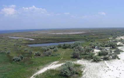 Insula dzharylgach (regiunea Herson) odihnă, feedback-ul turiștilor cum să obțineți