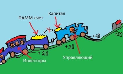 Conturile Pamm pentru începători - ce, de ce și cum