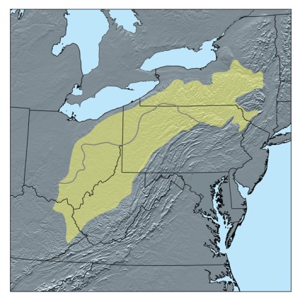 Atractivitatea Pennsylvania pentru imigranți