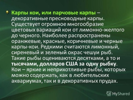 Prezentare pe tema peștilor de acvariu - animale de companie populare