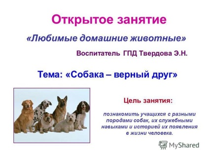 Prezentare pe tema prezentării la lecție (clasa a 2-a) pe tema animalelor preferate