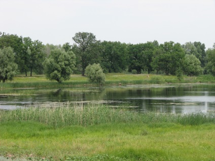 Parcul Natural Volgo-Akhtuba inundație, bun venit volgograd