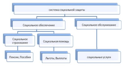 Probleme de protecție a drepturilor cetățenilor în domeniul securității sociale