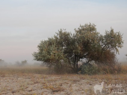 Adio la insula de vară Jarylgach