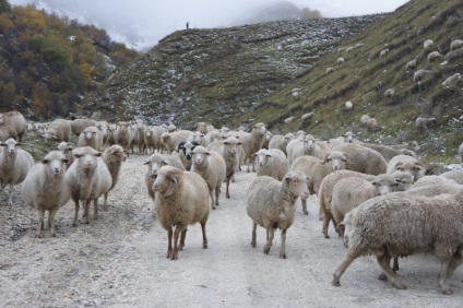 Călătoriți în Balcan - orașe și sate din Dagestan