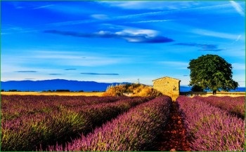 Utazás Provence-ben szeptemberben, idegenforgalom